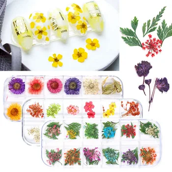 3D Декорация на нокти от сушени цветя, Естествени цветя стикер, 1 Кутия, Стикери за нокти 