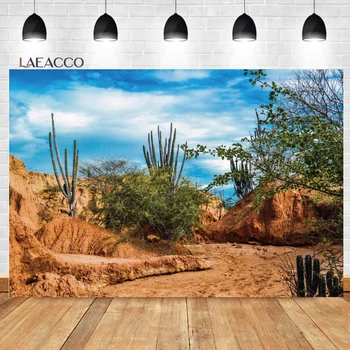 Laeacco има предимно сухо безплодна пустиня Снимка Фон Растение Сух Пясък Планински кактус Гледка към природата Възрастен Детски фон за портретна фотография