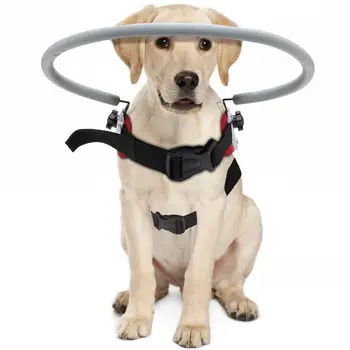 Каишка за слепи кучета, безделник устройство, пръстен за защита от сблъсък с домашни любимци |Halo, каишка за слепи кучета, котки, яка, жилетки, аксесоари за слепи хора с домашни любимци